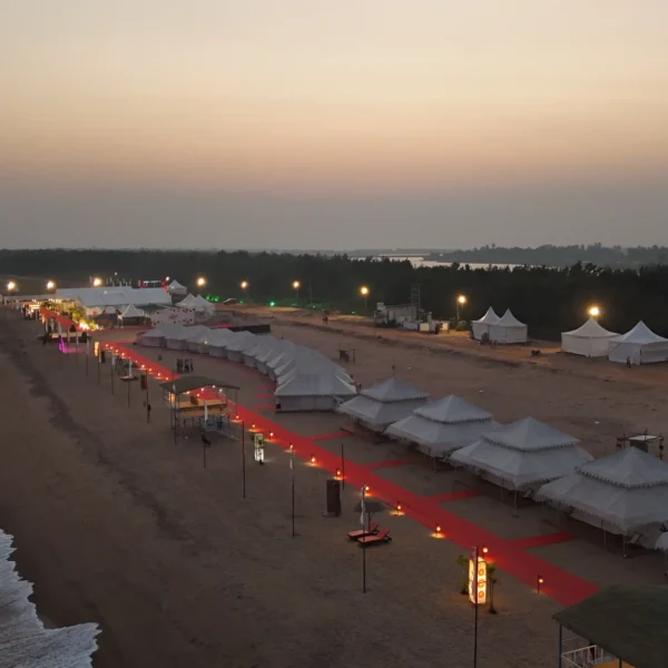 DJI 20250204224151 0196 D